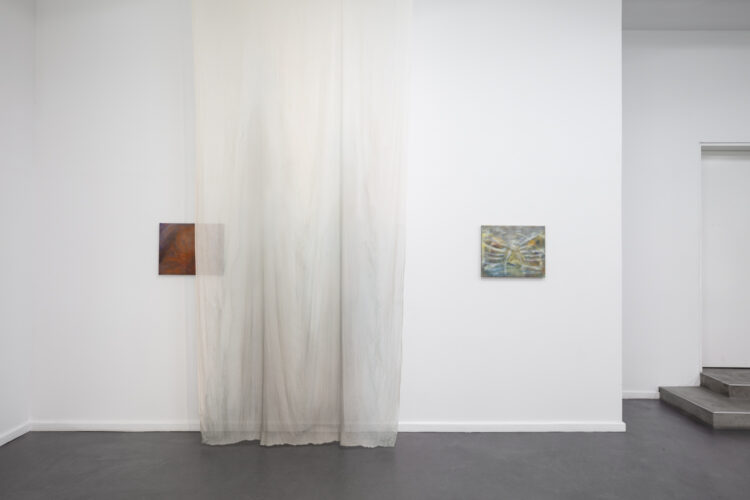 Installation view, Krys Huba, All of those records; tell me, bee, Künstlerhaus Bethanien, Berlin, 2025. Image courtesy of the artist and Künstlerhaus Bethanien, Berlin. Photo: Chroma Studio Berlin.